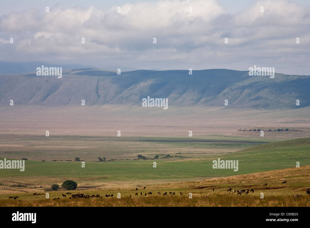 Great Rift Valley Tanzania, Africa Stock Photo