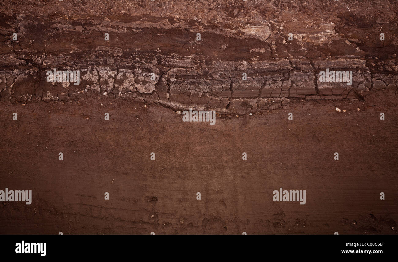 Cross section of real underground soil layers Stock Photo