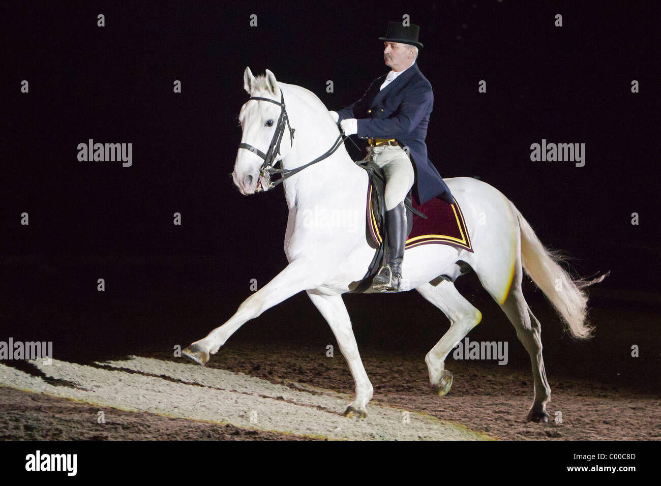 Man riding white horse hi-res stock photography and images - Alamy