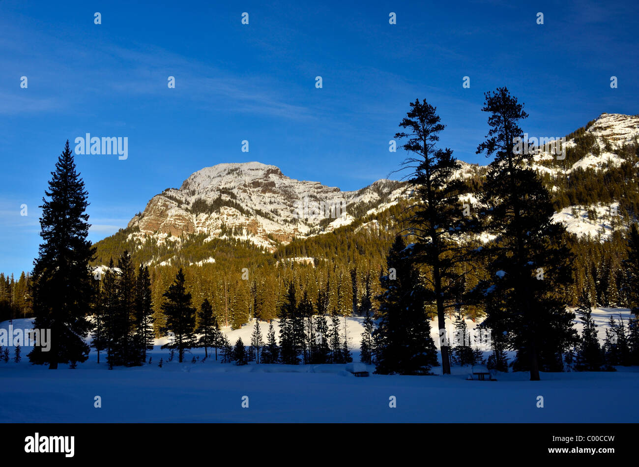 Mountains in Lamar Valley, Yellowstone National Park, Wyoming, USA. Stock Photo