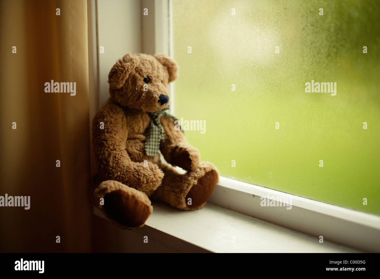 Teddy bear looks out of window Stock Photo