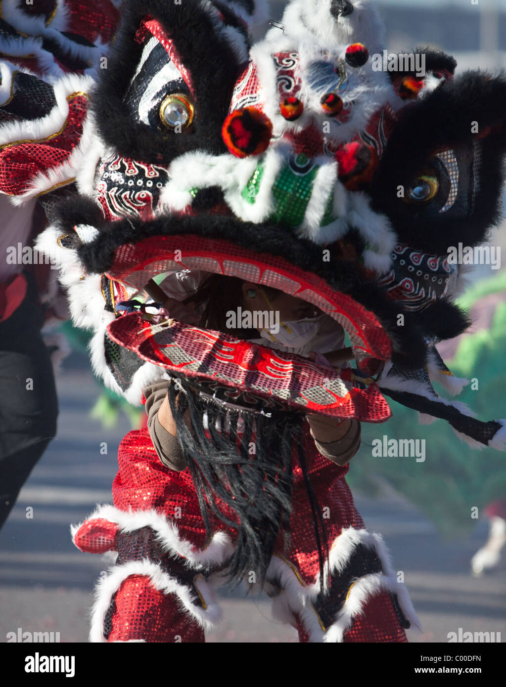 Chinese Lion Dancers perform in elaborate Lion costumes during Chinese New Year Celebrations Stock Photo