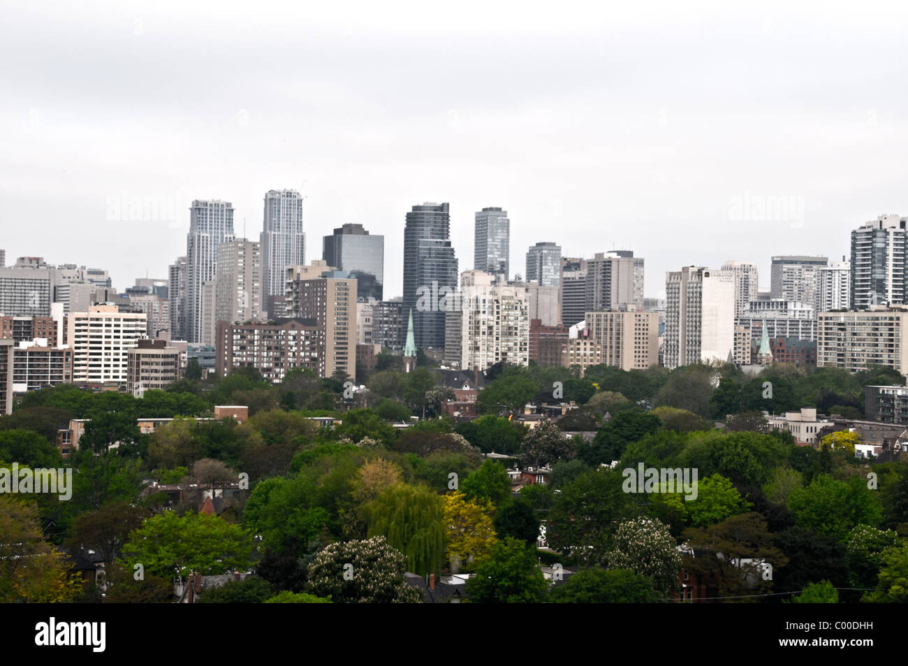 Downtown office and condo buildings along Yonge Street, and the residential neighbourhood of Cabbagetown in the foreground, Toronto, Ontario, Canada. Stock Photo