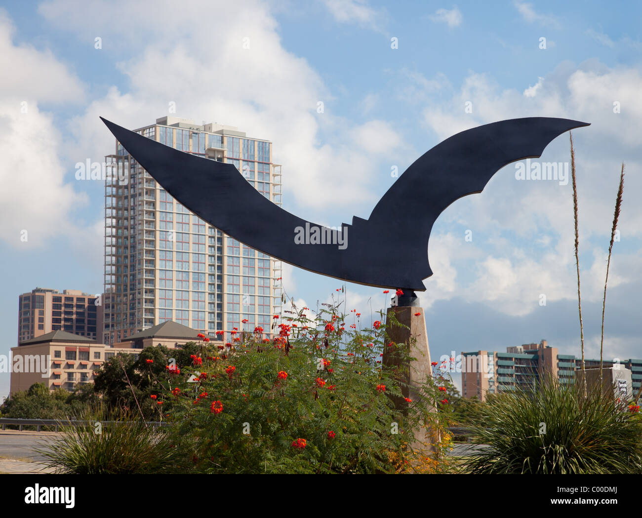 Bats at night hires stock photography and images Alamy