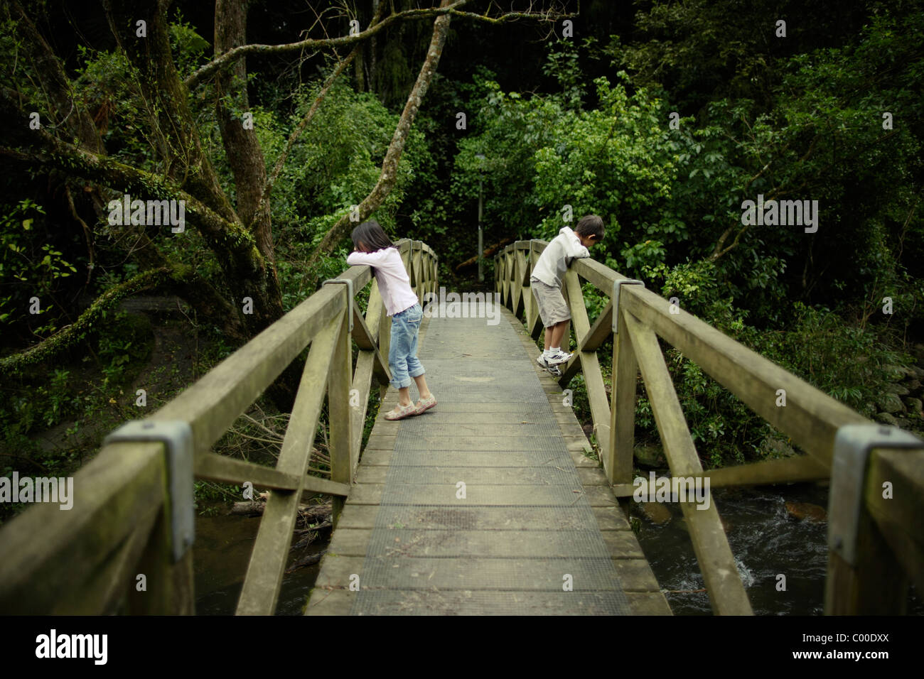 Brother and sister stand on wooden bridge and look down at stream, New Zealand. Stock Photo
