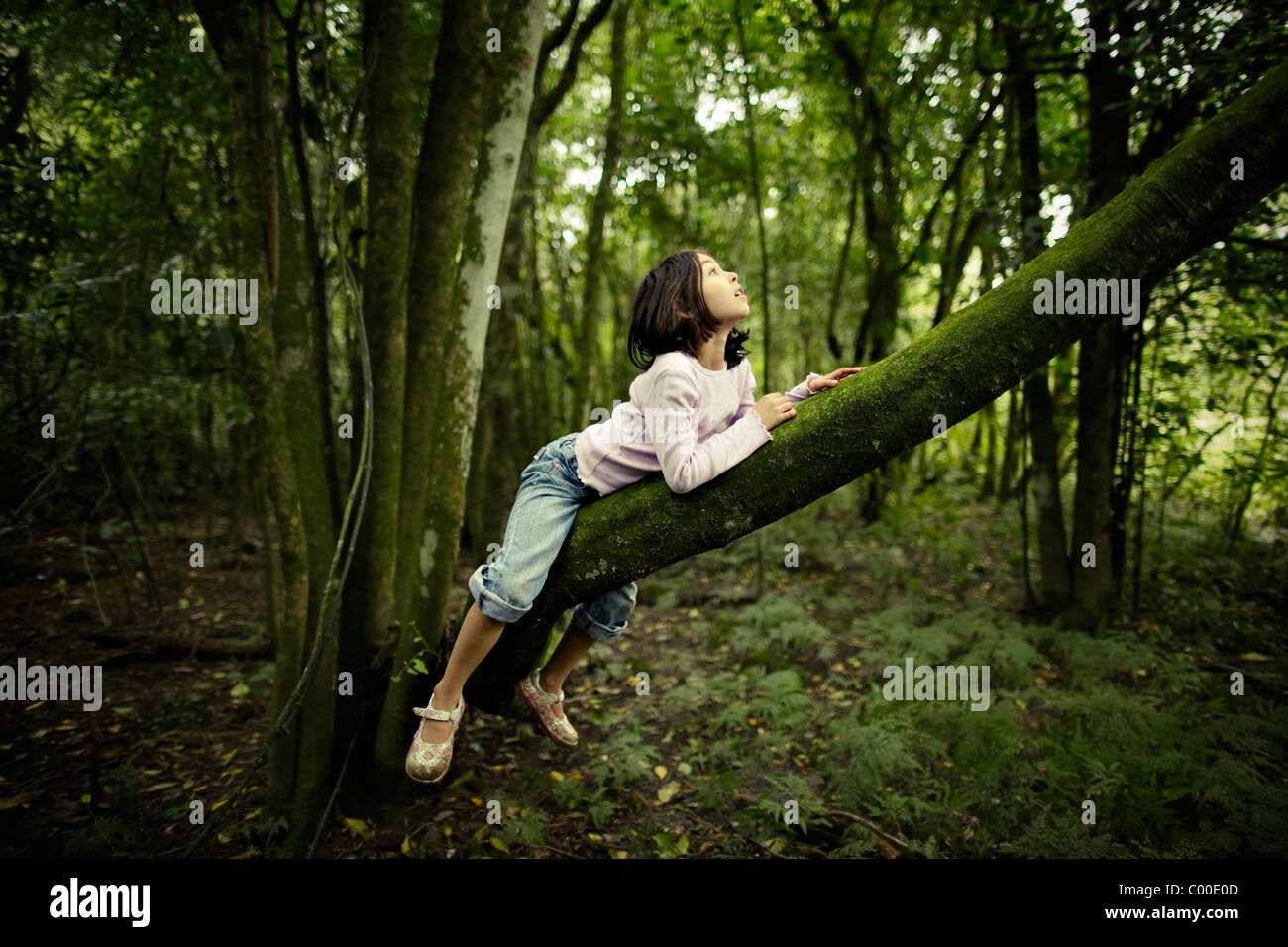 Tree climbing: Adults get in touch with childhood, nature