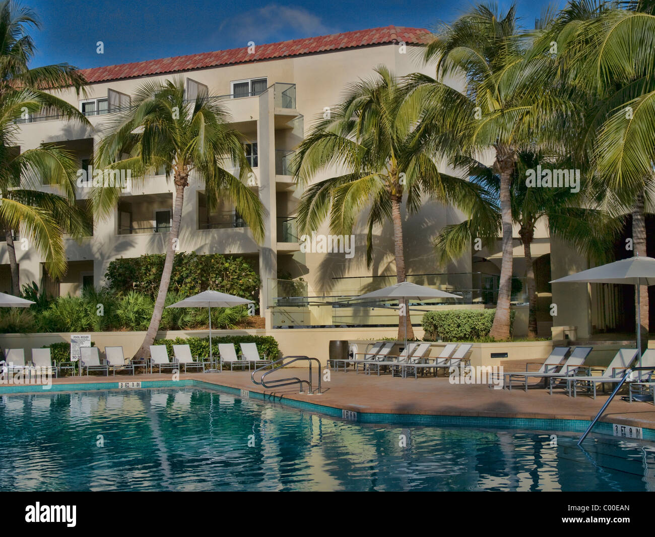 Tropical Resort with beautiful pool surrounded by palm trees and hotel in  the distance Stock Photo - Alamy