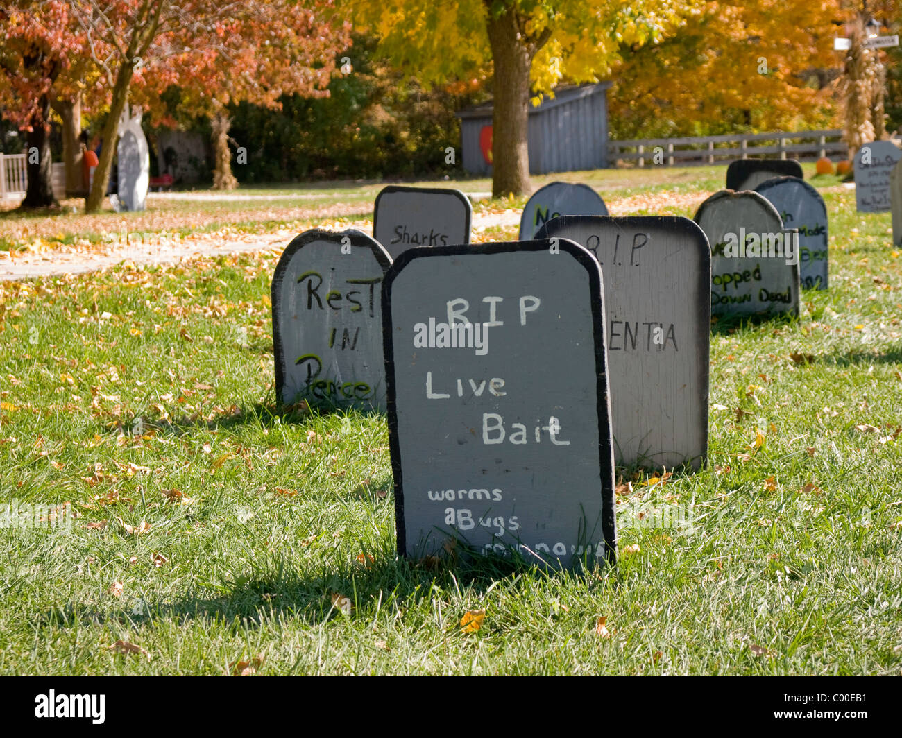 Cemetery set up for Halloween Holiday celebration with funny sayings on the head stones. Stock Photo