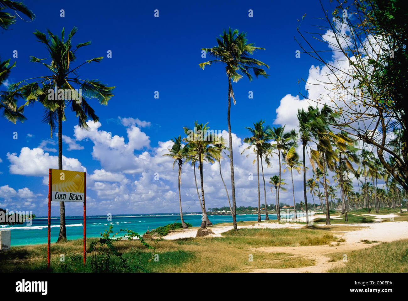 Palm trees at Coco Beach Stock Photo