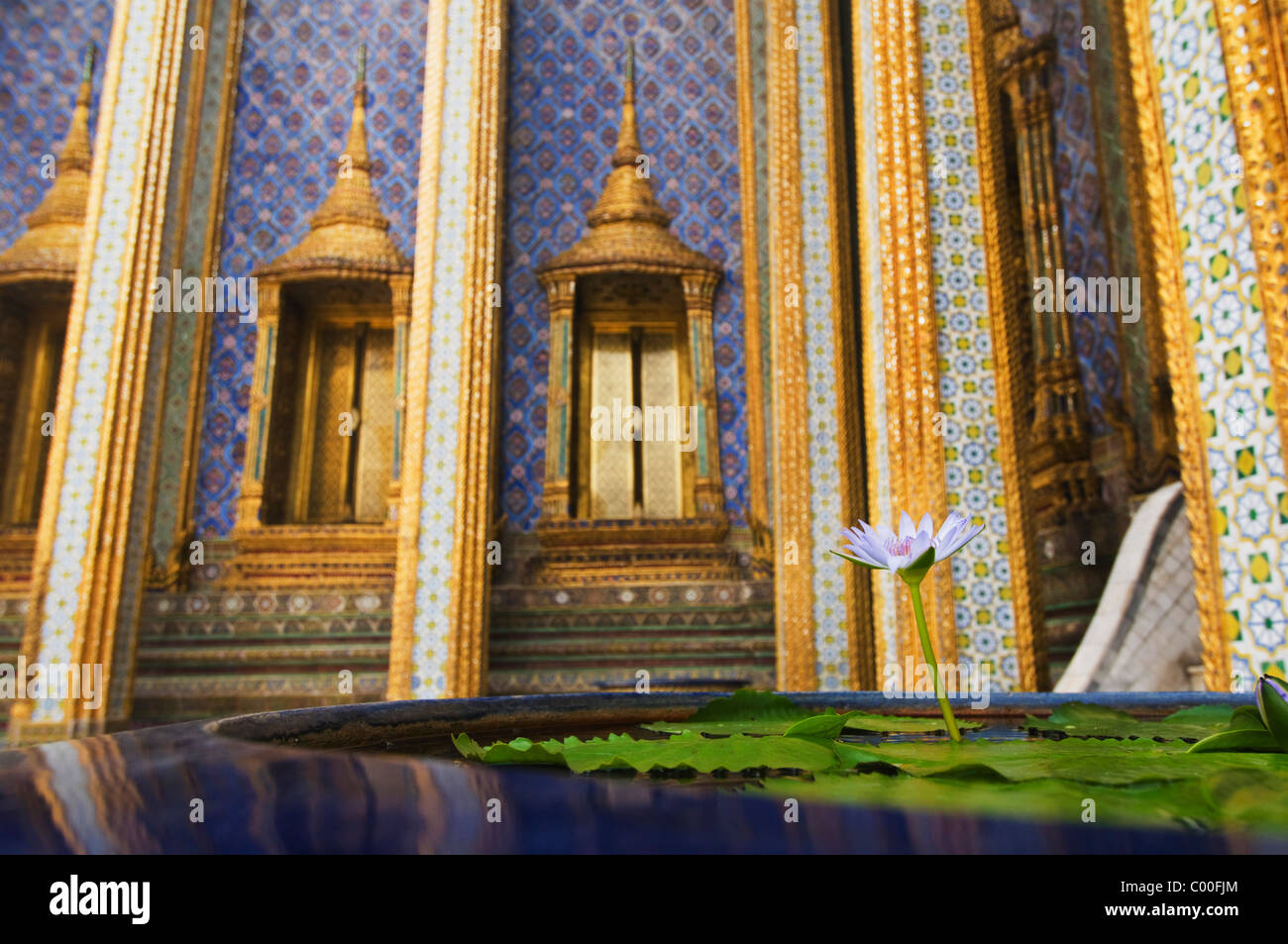 Lilly flower in large pot outside Wat Phra Kaew temple Stock Photo