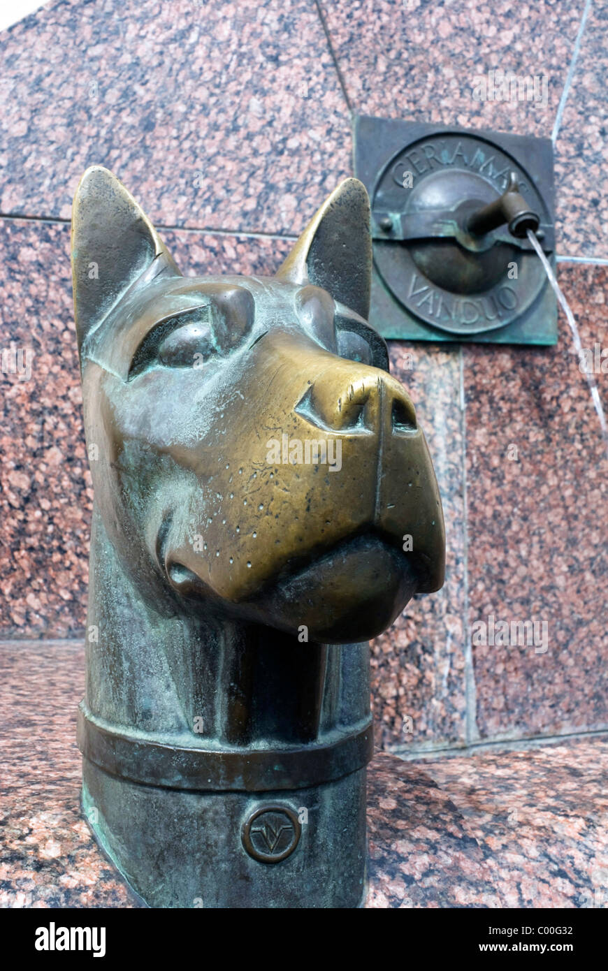 Bronze statue of a dog's head, beside a fountain, in Kaunas, Lithuania