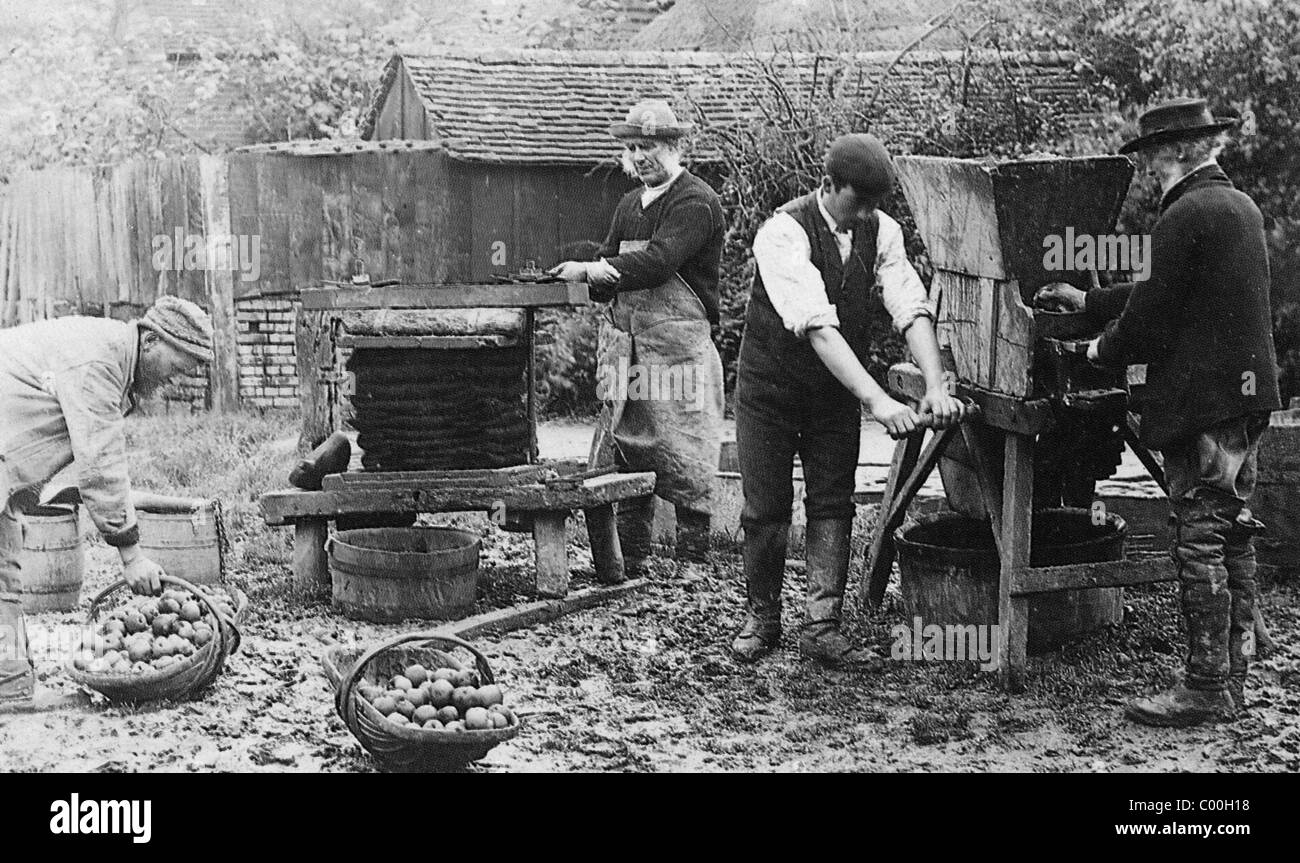 CIDER MAKING in England about 1910 Stock Photo