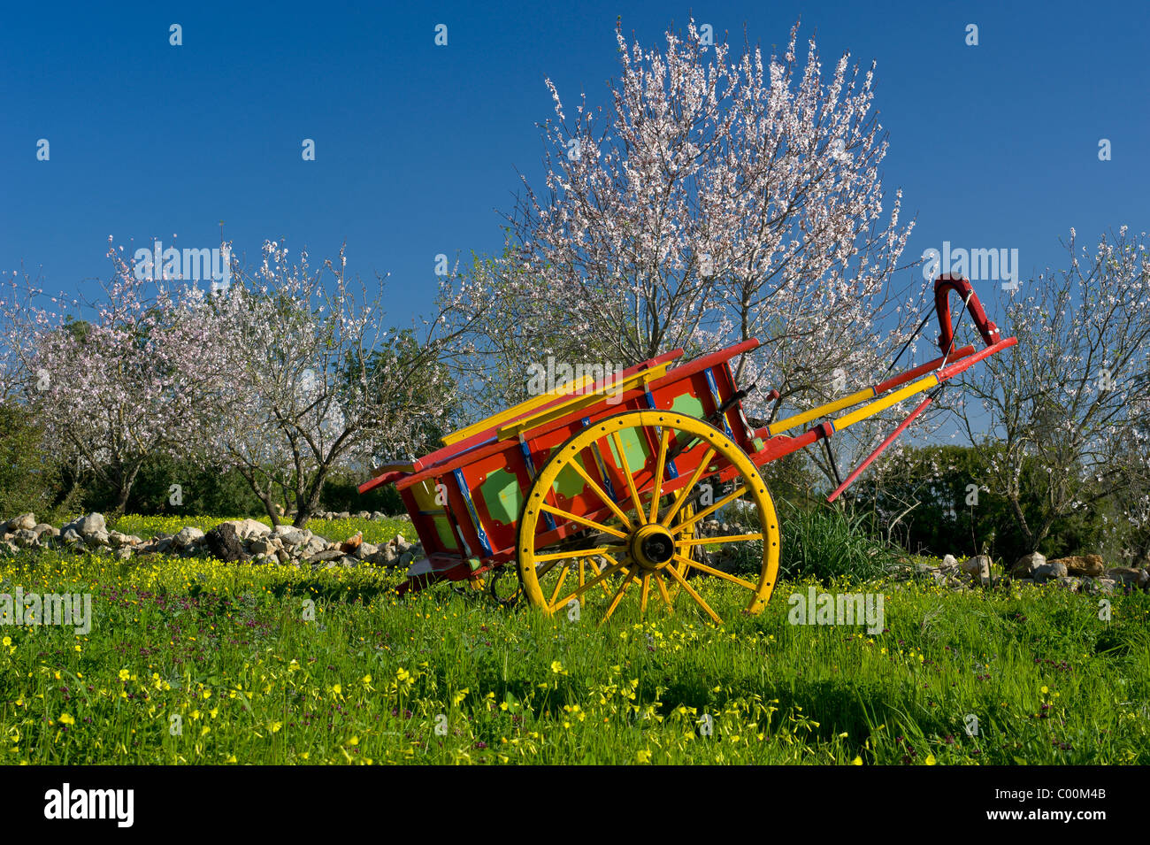 Rustic painted cart in a field with almond blossom, Portugal, the Algarve, in spring Stock Photo