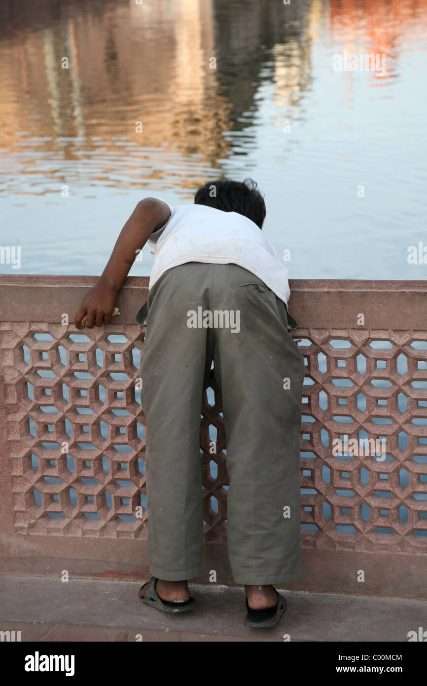 Boy feeding fish in the public bath ghat Jodphur old city, Rajasthan, India Stock Photo