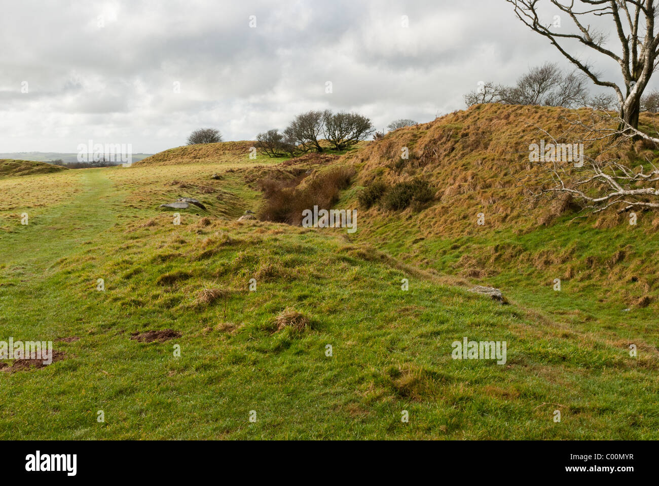 Blackdown Rings are the remains of a prehistoric hillfort in Devon, South West England Stock Photo