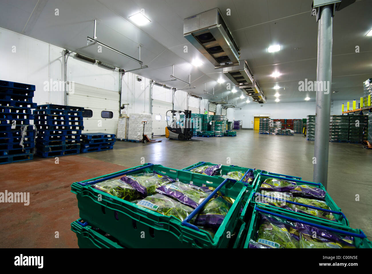 Salad crop distribution warehouse Stock Photo Alamy