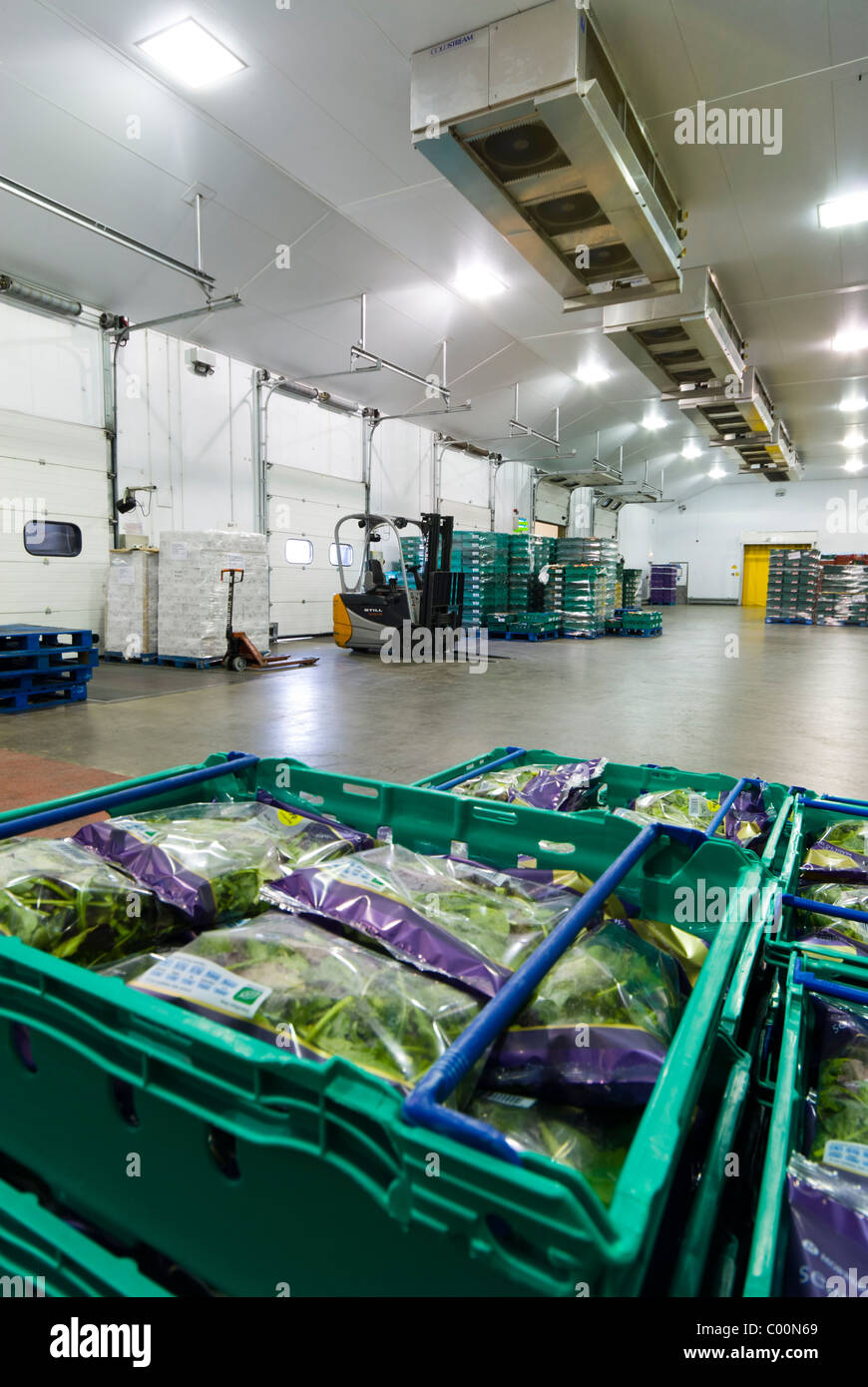Salad crop distribution warehouse Stock Photo Alamy