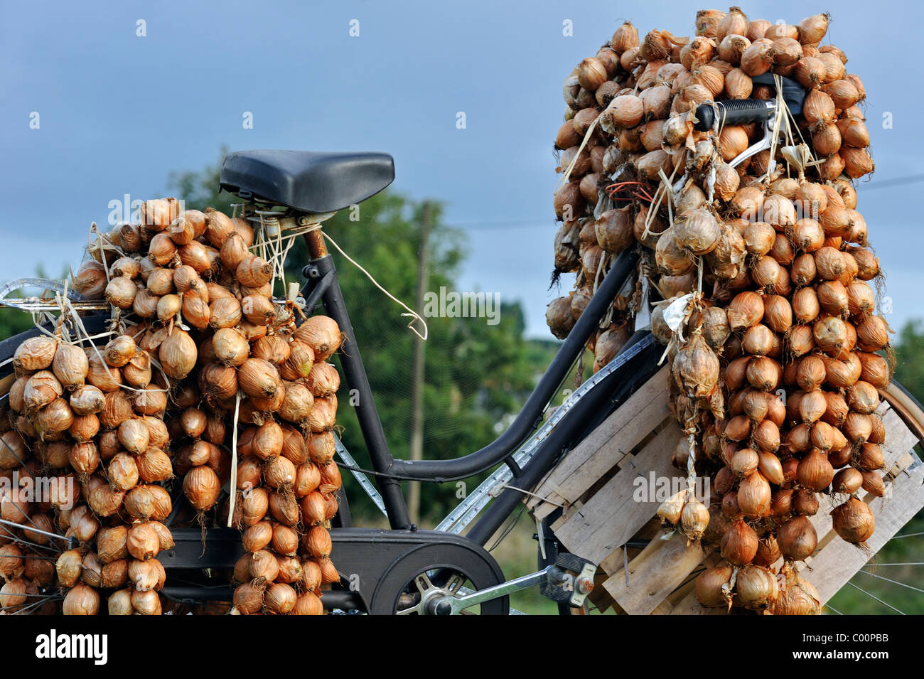 Onions on bicycle of Marchand d'oignons / Johnny Onions, Finistère, Brittany, France Stock Photo