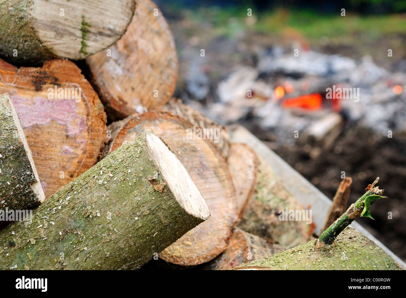 Burning Wood Garden Bonfire Stock Photo Alamy