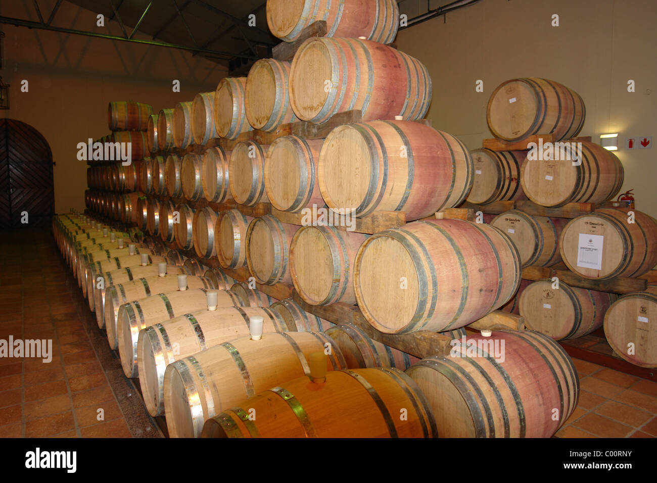 Wine barrels in winery Stock Photo