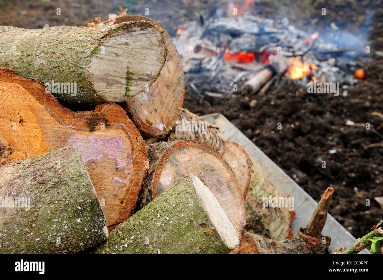 Burning Wood Garden Bonfire Stock Photo Alamy