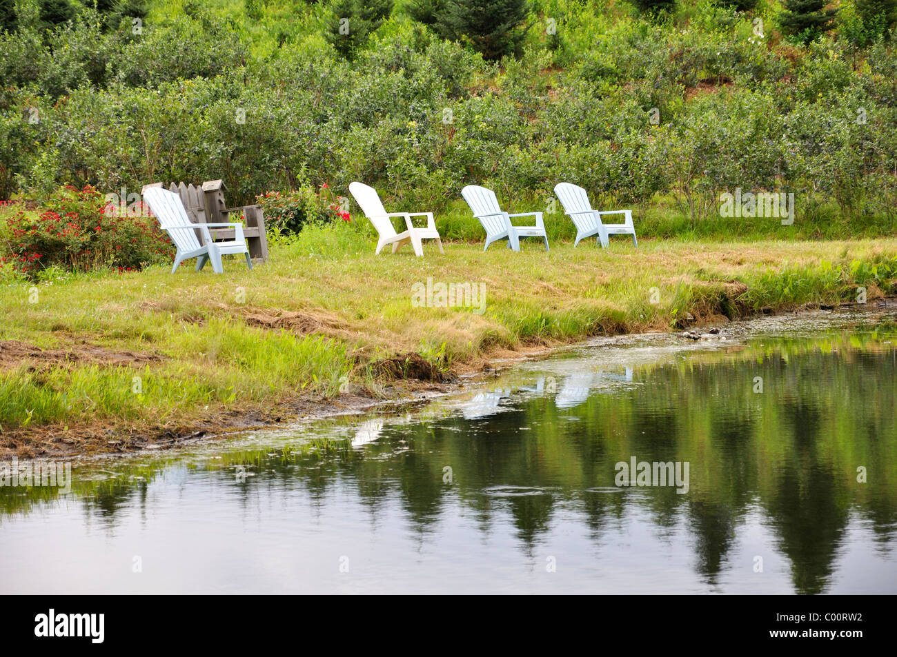 Colorful Chairs On Farm In Wethersfield Connecticut New
