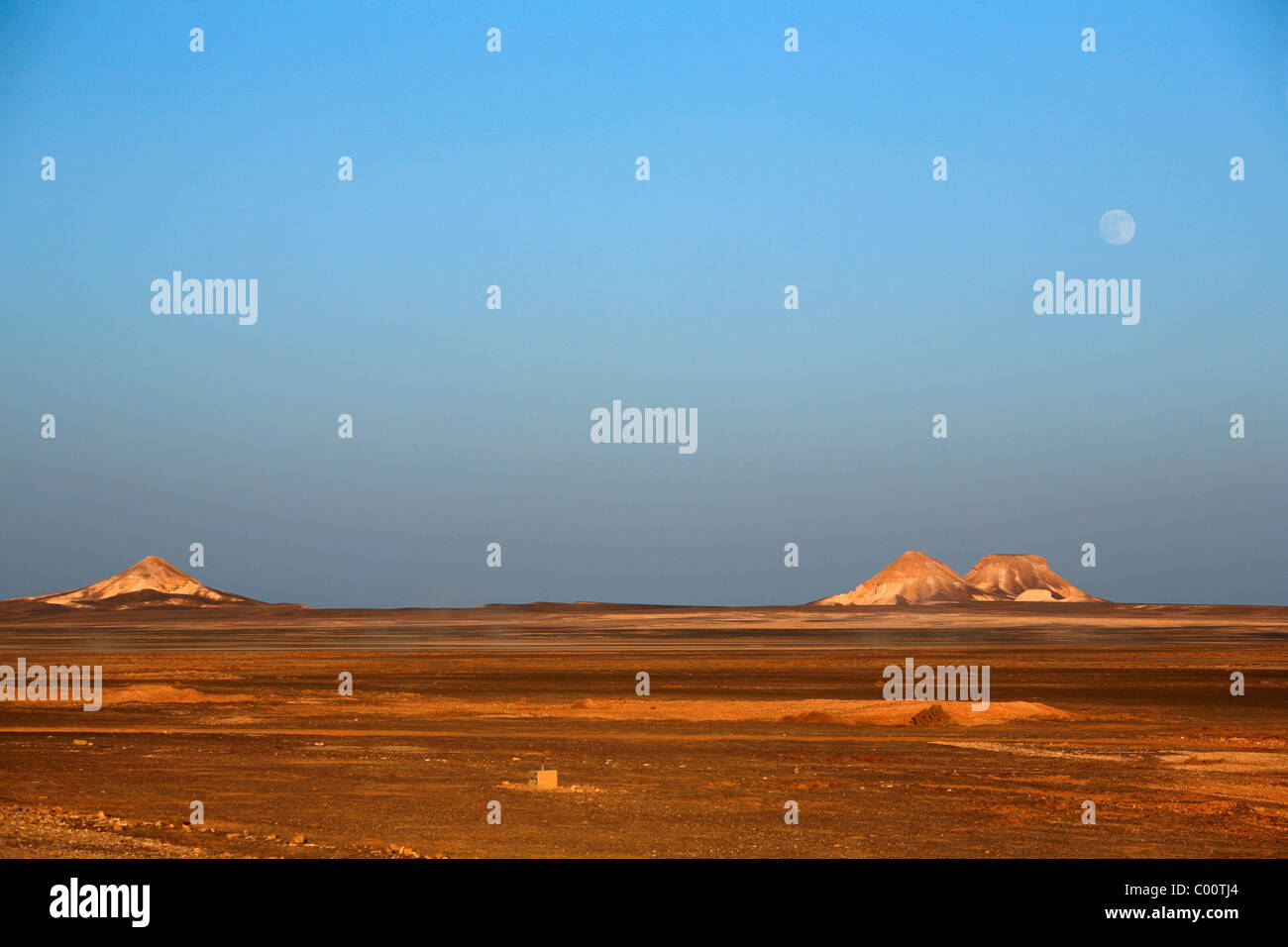 Stone desert, the Badia, Jordan. Stock Photo