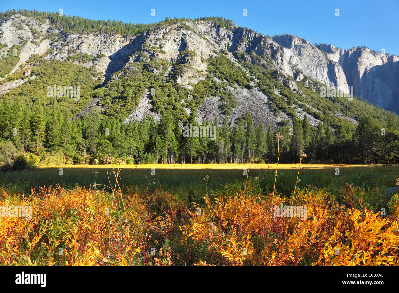 Valley in mountains of national park. Early autumn Stock Photo