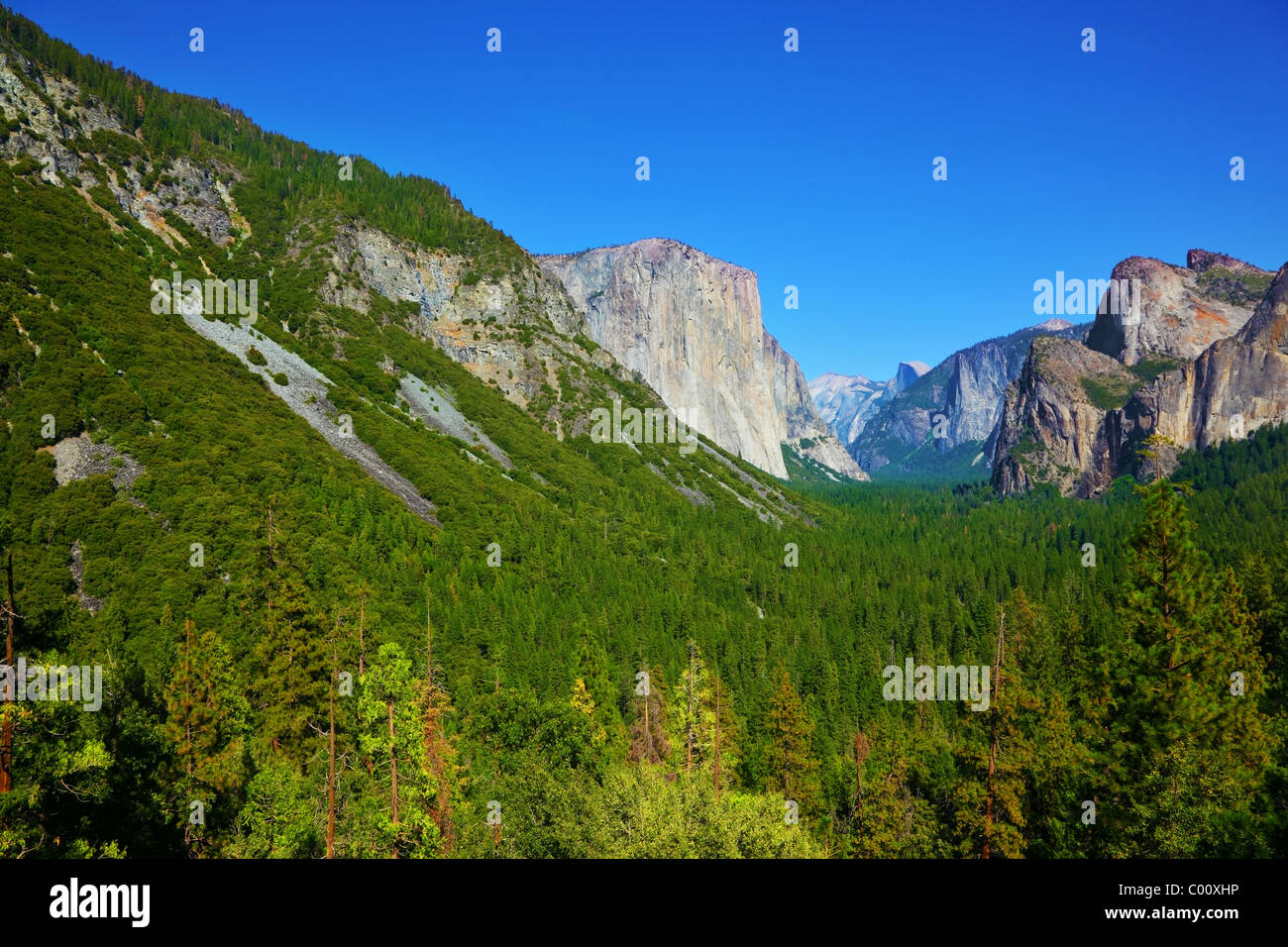 The well-known rocky monolith El-Captain shined by the morning sun. Yosemite park Stock Photo