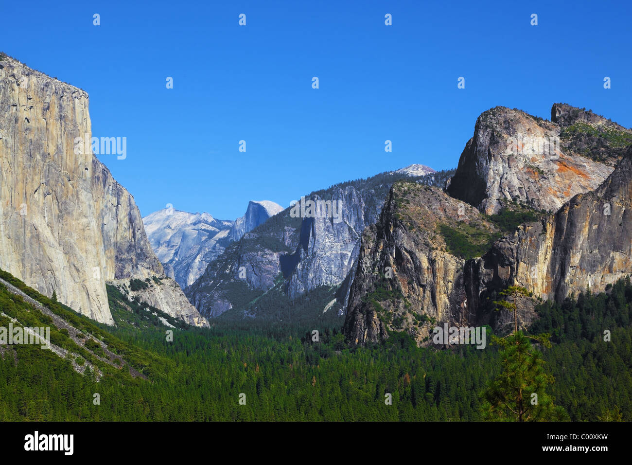 The white rocky monolith El-Captain shined by the morning sun. Yosemite Stock Photo