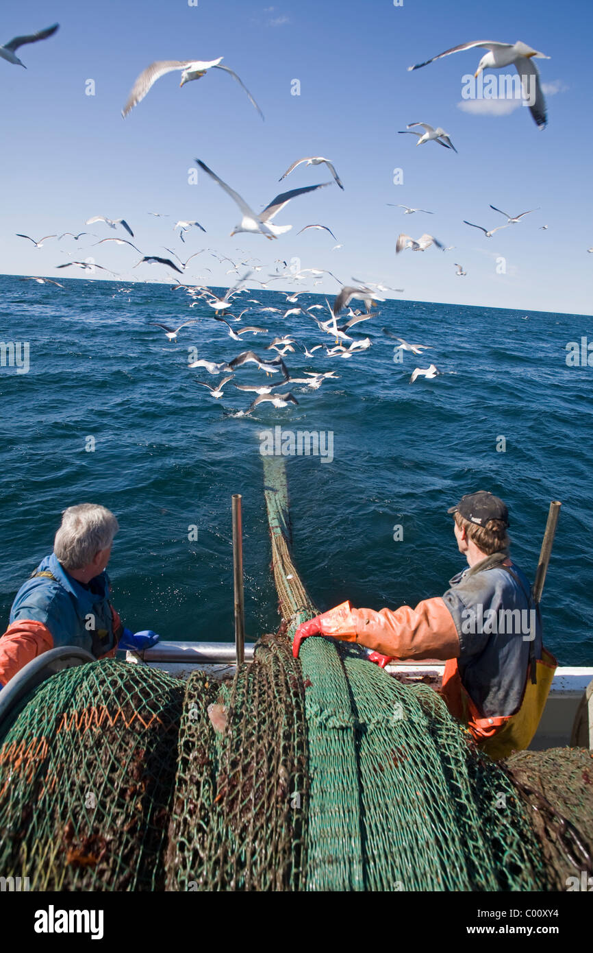 Fishermen hauling in the trawl with seagulls flying over Stock Photo