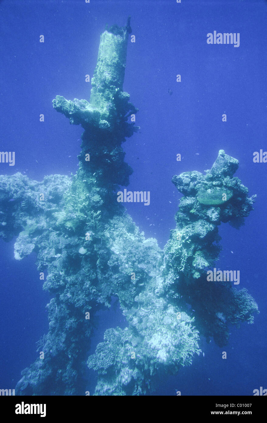 Elk166-6448 Micronesia, Federated States of Micronesia (FSM), Chuuk, coral-encrusted mast of WWII Japanese wreck Fujikawa Maru Stock Photo