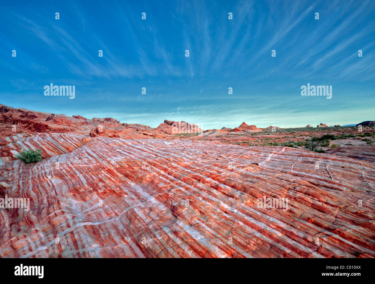 Bands of striated, colorful rocks. Valley of Fire State Park, Nevada ...