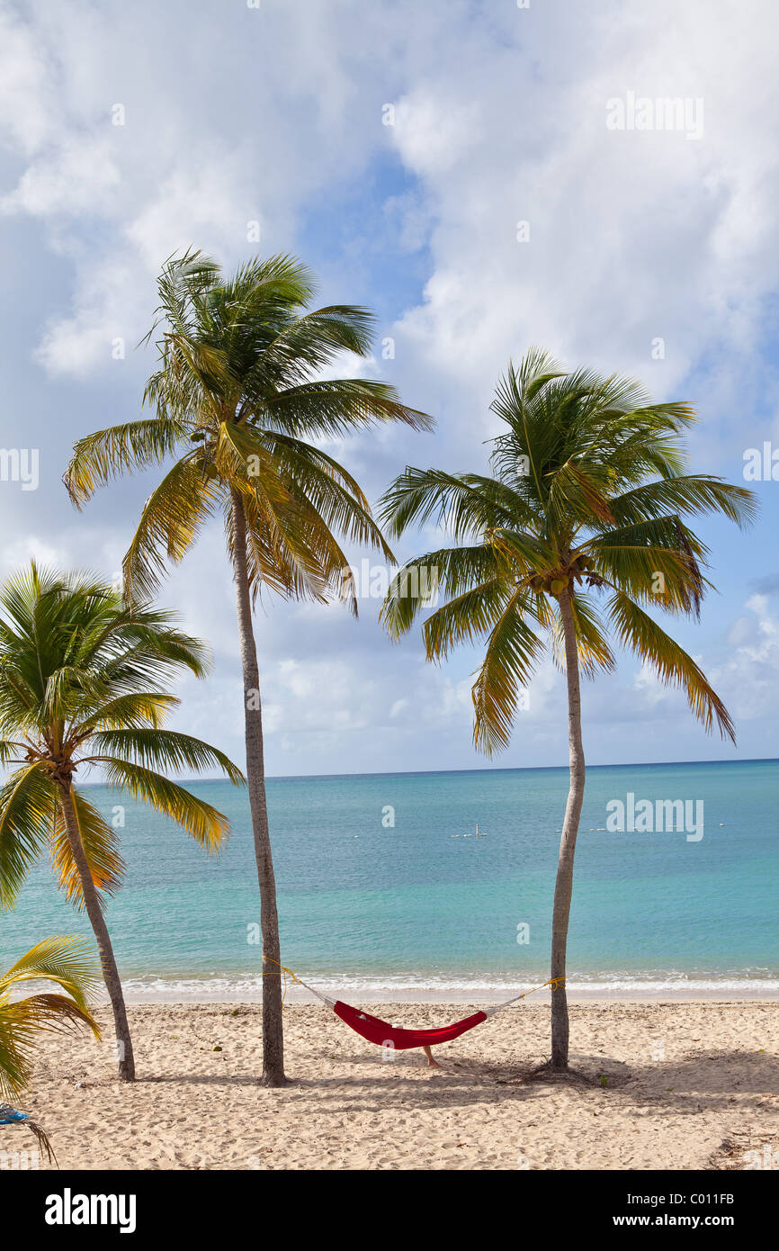 Hammock on coconut palms Sunbay beach in Vieques Island, Puerto Rico. Stock Photo