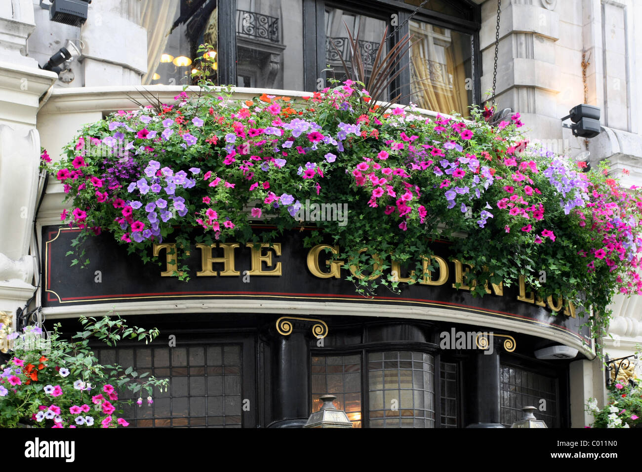 Pub Flowers High Resolution Stock Photography and Images Alamy