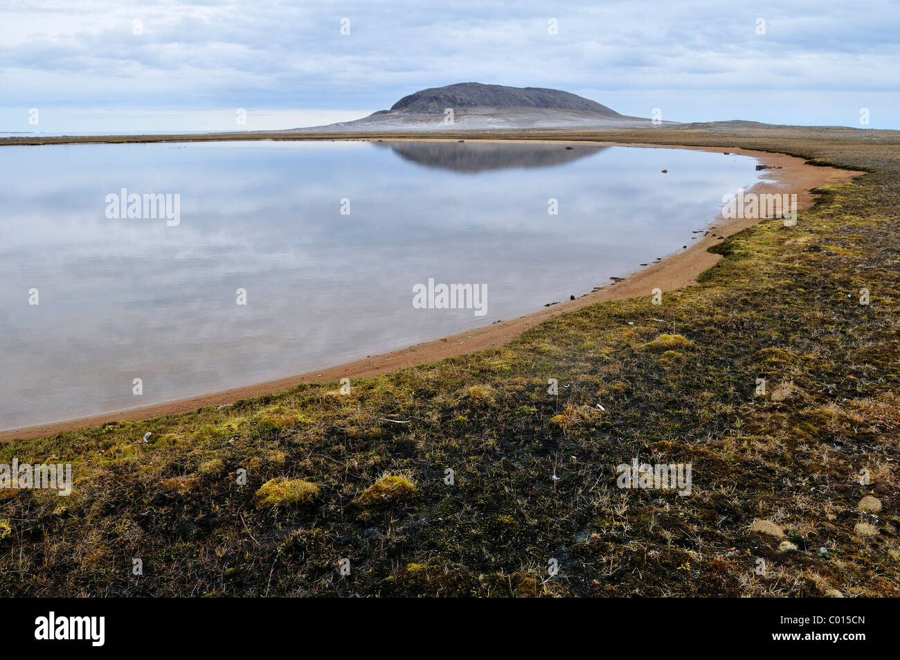 Arctic tundra and permafrost surface at Henry Kater Peninsula, Baffin Island, Nunavut, Canada, Arctic Stock Photo