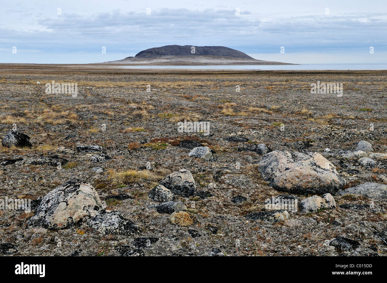 Baffin tundra discount