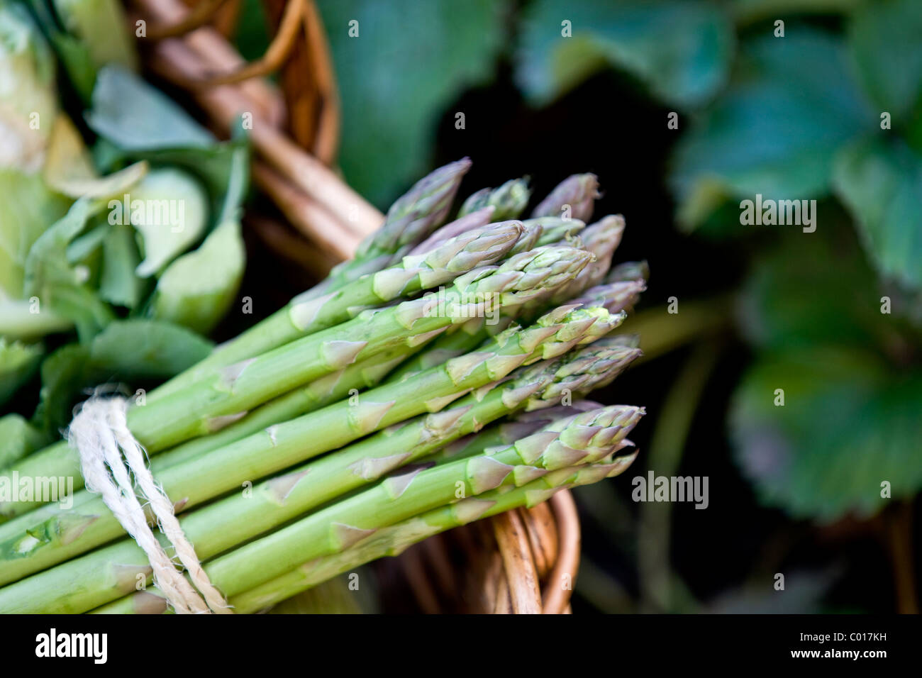 A bunch of asparagus in a basket of fresh vegetables Stock Photo