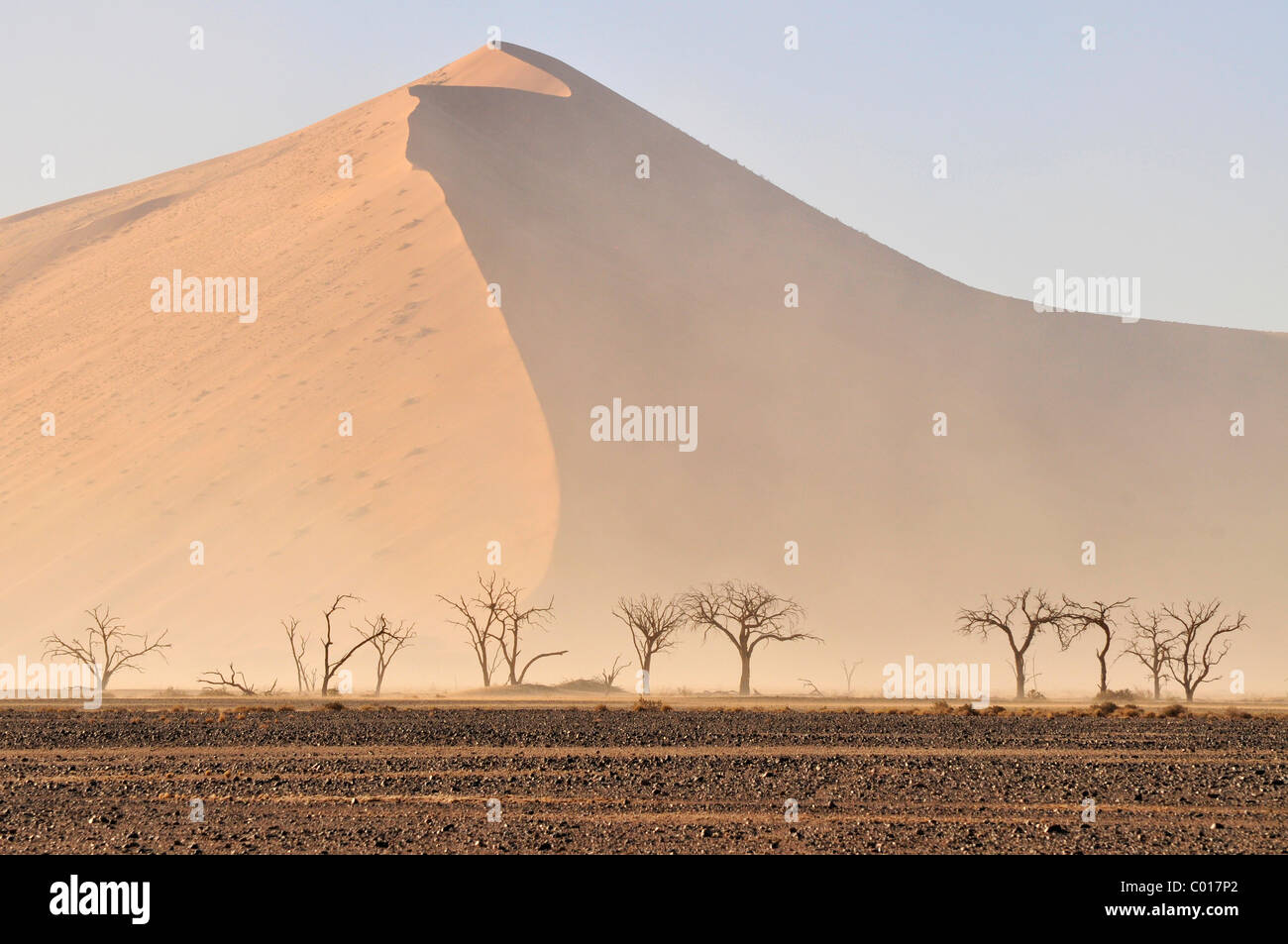 Sand storm in the Namib Desert near Sossusvlei, Namib Naukluft Park, Namibia, Africa Stock Photo