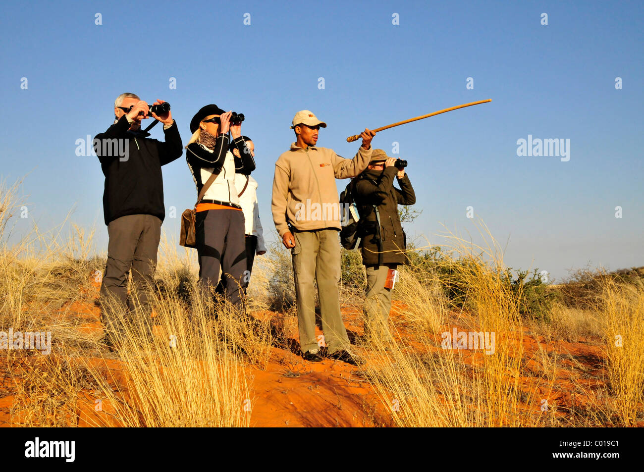 Guides from the tribe of the Khomani Bushmen, Khomani San, explaining the nature of the Kalahari to some tourists from the !Xaus Stock Photo