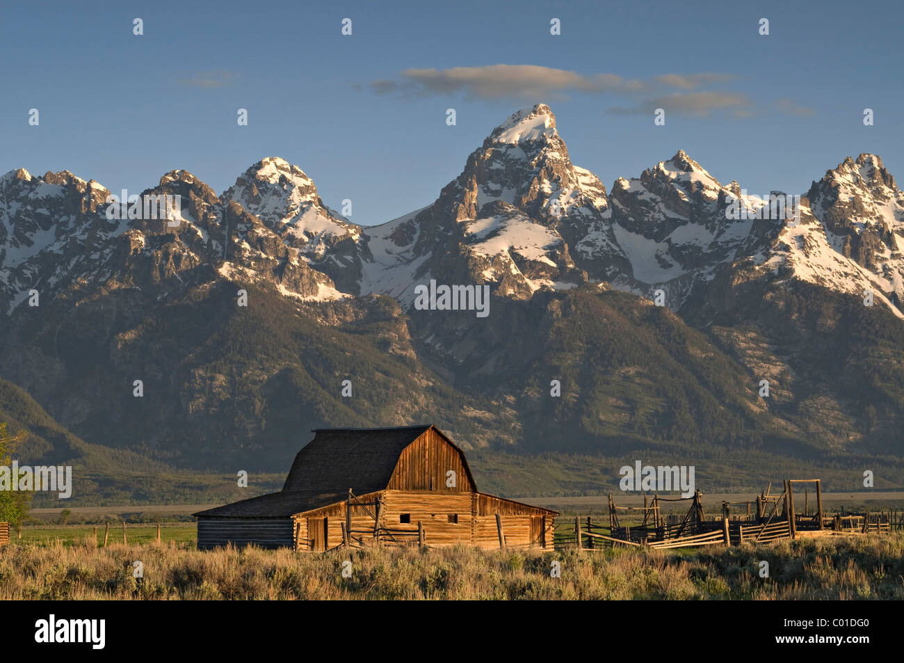 Old farm, in the back the Teton Range, Grand Teton National Park, Wyoming, USA, America Stock Photo