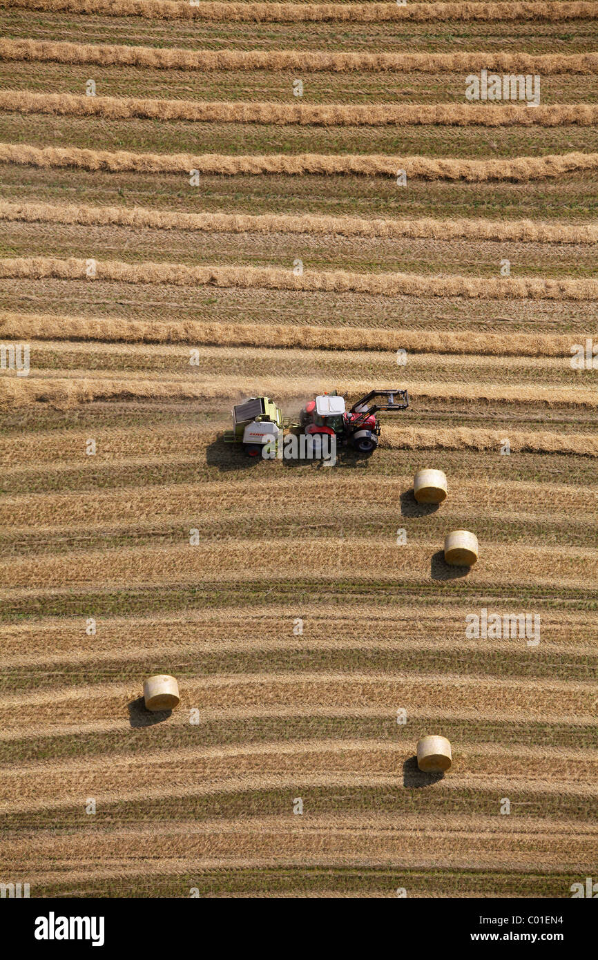 Aerial view, Obercastrop, harvester in midfield, Langeloh, silage rolls of straw, Castrop-Rauxel, Ruhr Area Stock Photo