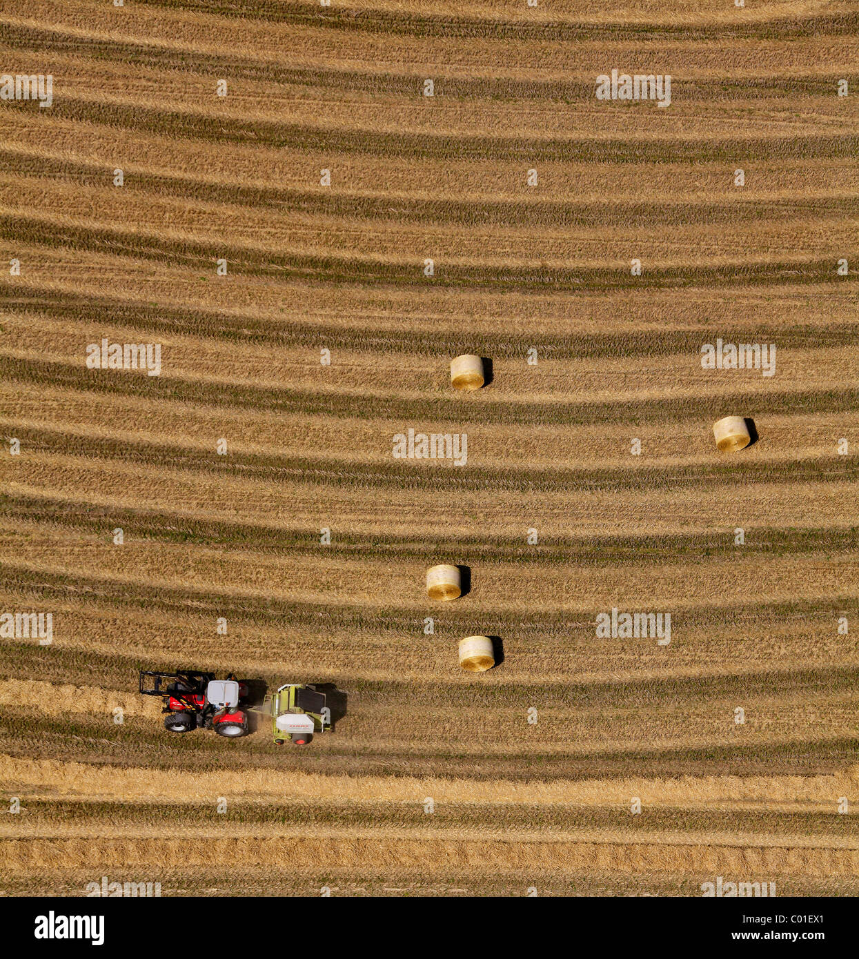 Aerial view, Obercastrop, harvester in midfield, Langeloh, silage rolls of straw, Castrop-Rauxel, Ruhr Area Stock Photo