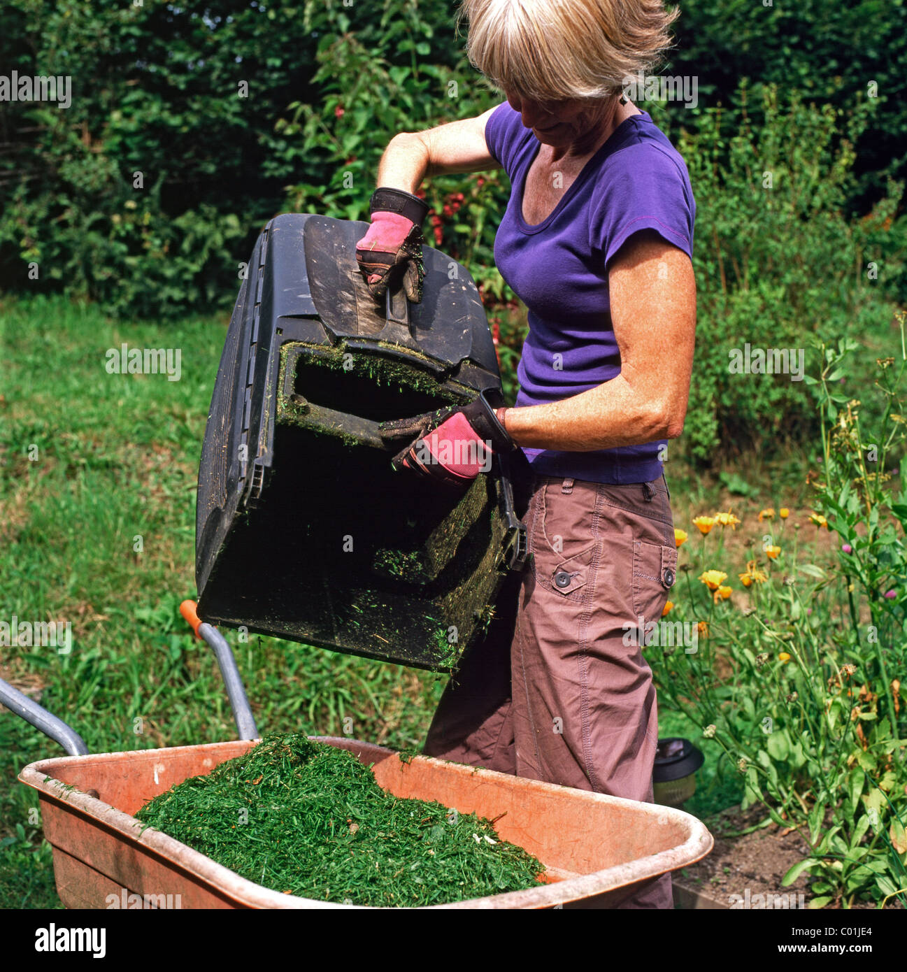 Composting grass cuttings hires stock photography and images Alamy