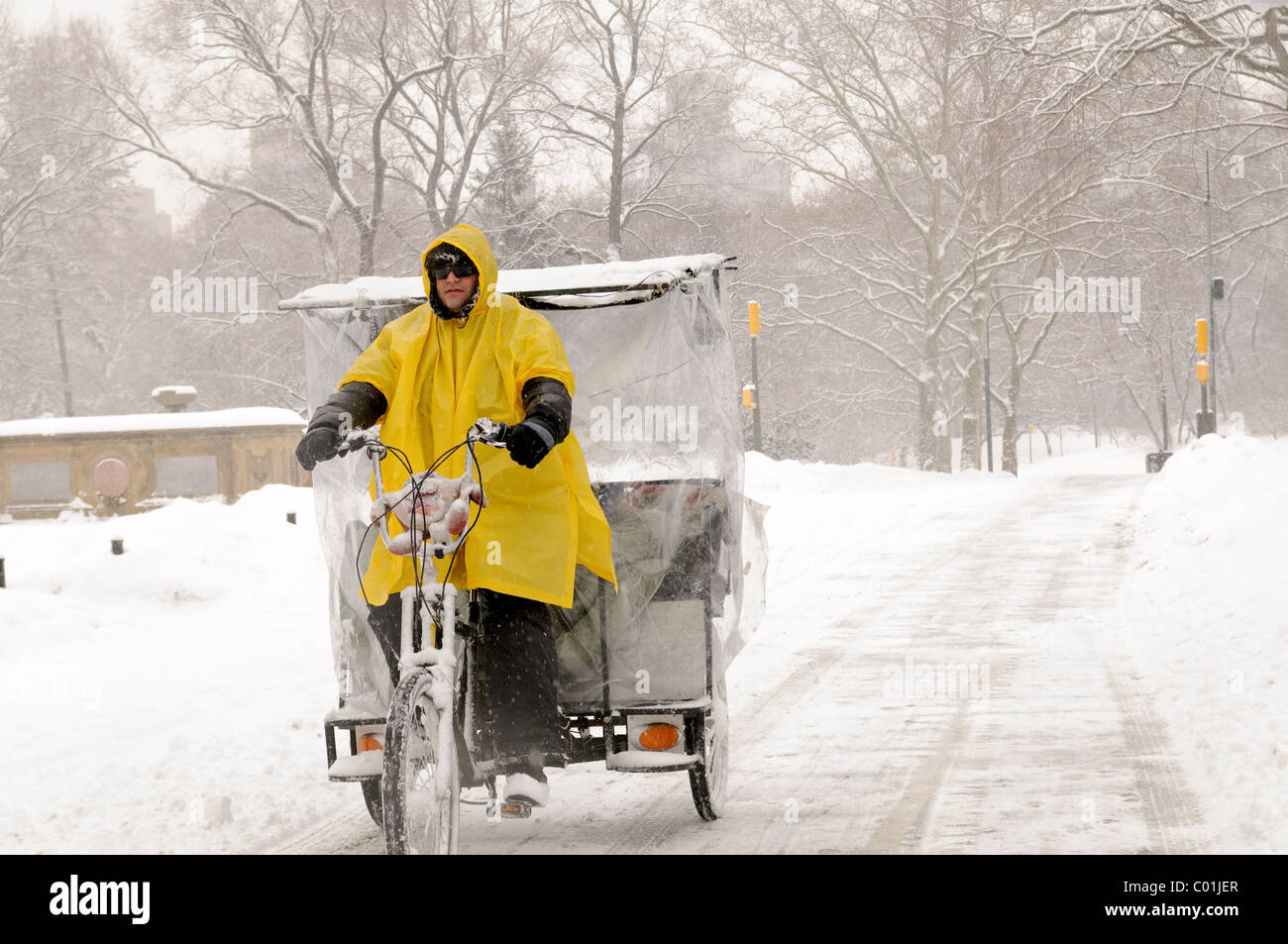 Central Park, Manhattan, Snow Storm, January 25, 2011, New York City Stock Photo