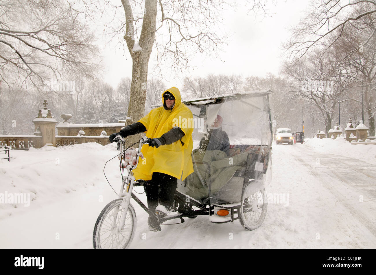 Central Park, Manhattan, Snow Storm, January 25, 2011, New York City Stock Photo