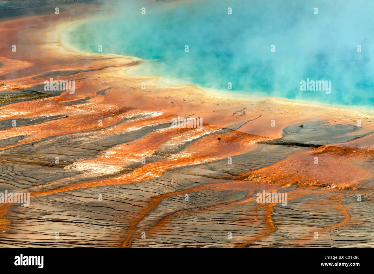 Grand Prismatic Spring, Midway Geyser Basin, Yellowstone National Park, Wyoming, USA, North America Stock Photo