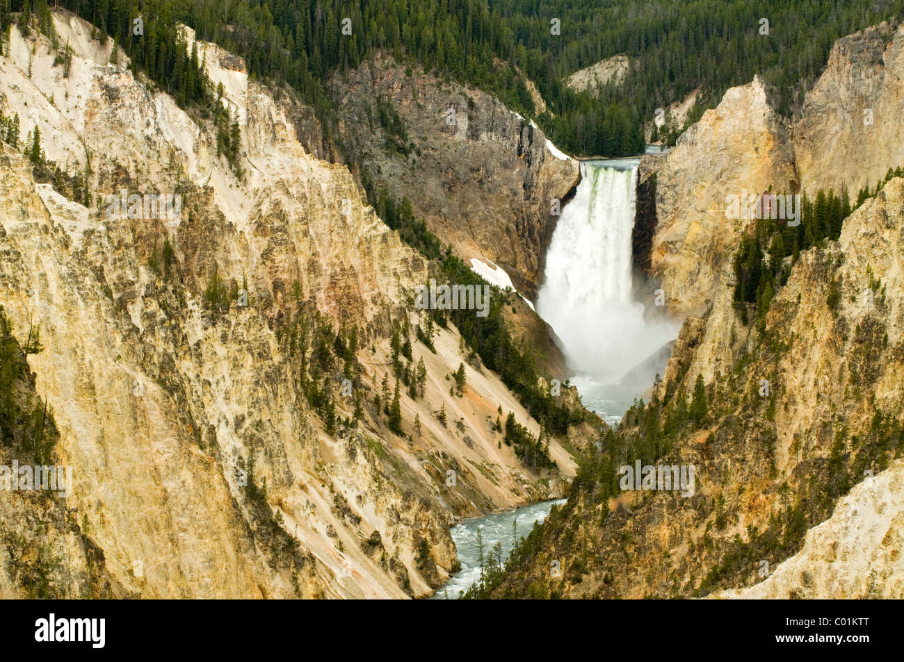 Lower Falls of the Yellowstone River, Grand Canyon Of The Yellowstone, Yellowstone National Park, Wyoming, USA, North America Stock Photo