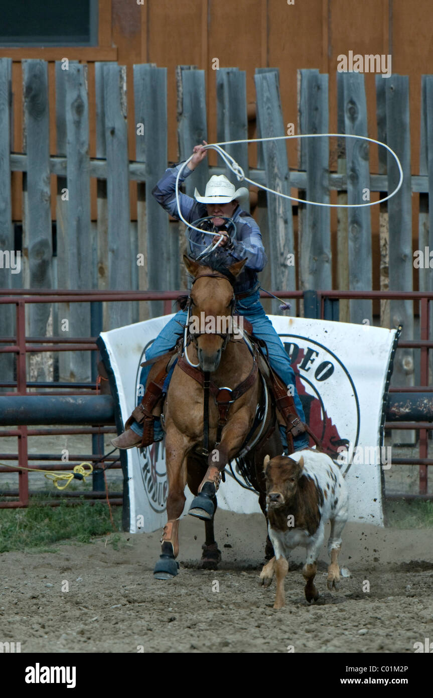 Gardiner Rodeo Photos of cowboys at rodeo hi-res stock photography and images - Alamy