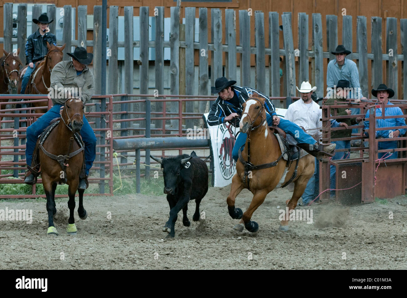 Gardiner Rodeo Cowboy montana usa hi-res stock photography and images - Alamy